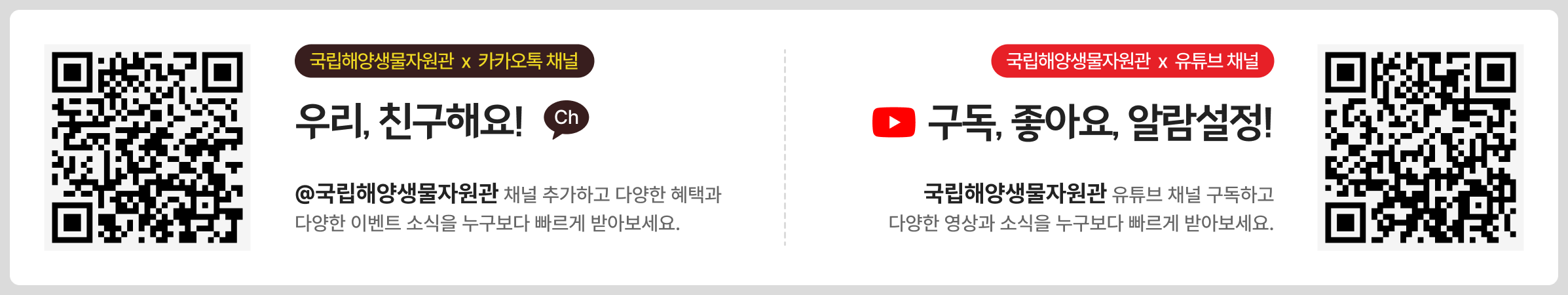 [MBRIS x 카카오톡 채널] 우리, 친구해요! @MBRIS 채널 추가하고 다양한 혜택과 다양한 이벤트 소식을 누구보다 빠르게 받아보세요. [해양바이오뱅크 x 유튜브 채널] 구독, 좋아요, 알람설정! 해양바이오뱅크 유튜브 채널 구독하고 다양한 영상과 소식을 누구보다 빠르게 받아보세요.