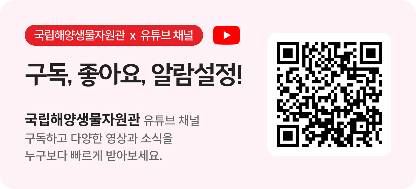[국립해양생물자원관 x 유튜브 채널] 구독, 좋아요, 알람설정! 국립해양생물자원관 유튜브 채널 구독하고 다양한 영상과 소식을 누구보다 빠르게 받아보세요.