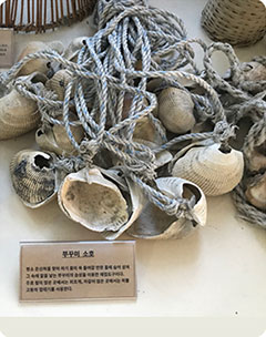 쭈꾸미 소호
