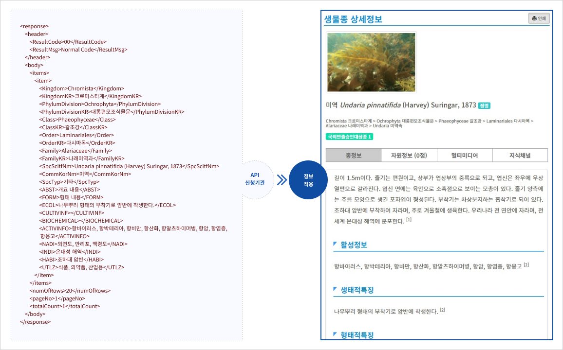 API를 통해 전달받은 데이터를 적용하여 정보를 표시한 예시이미지