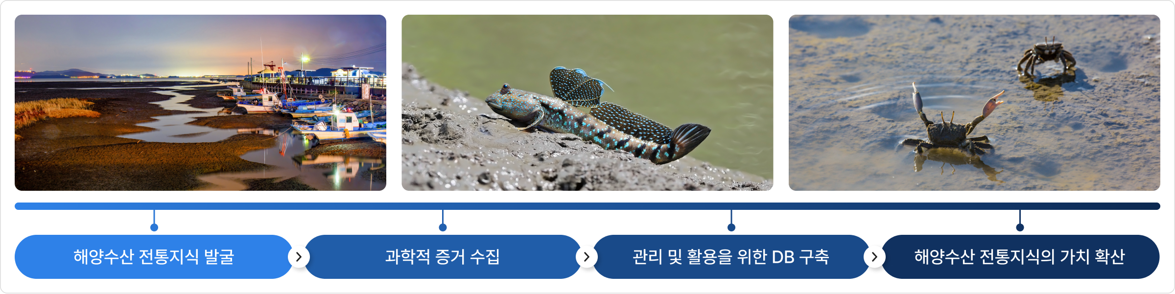 해양수산 전통지식 발굴 > 과학적 증거 수집 > 관리 및 활용을 위한 DB 구축 > 해양수산 전통지식의 가치 확산