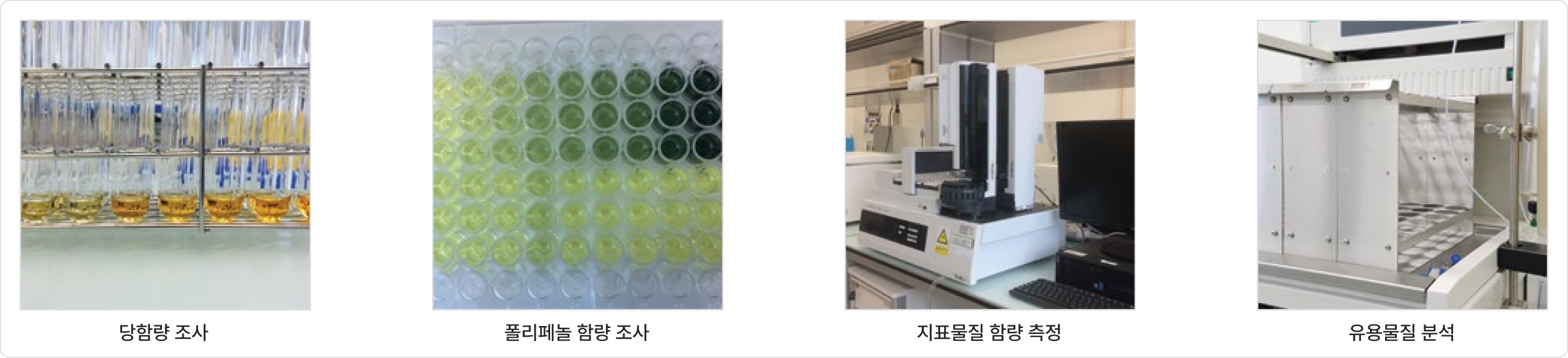 당함량 조사, 폴리페놀 함량 조사, 지표물질 함량 측정, 유용물질 분석